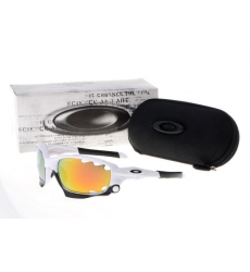Oakley Glasses-0038