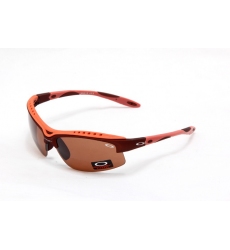 Oakley Glasses-0258