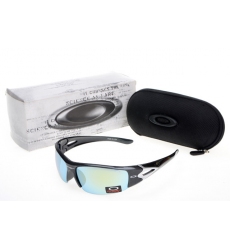 Oakley Glasses-1106