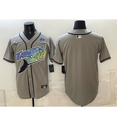 Men's Tampa Bay Rays Blank Gray 2026 AL East Champions Vapor Limited Stitched Baseball Jersey
