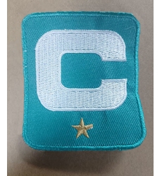 Miami Dolphins 1-star C Patch